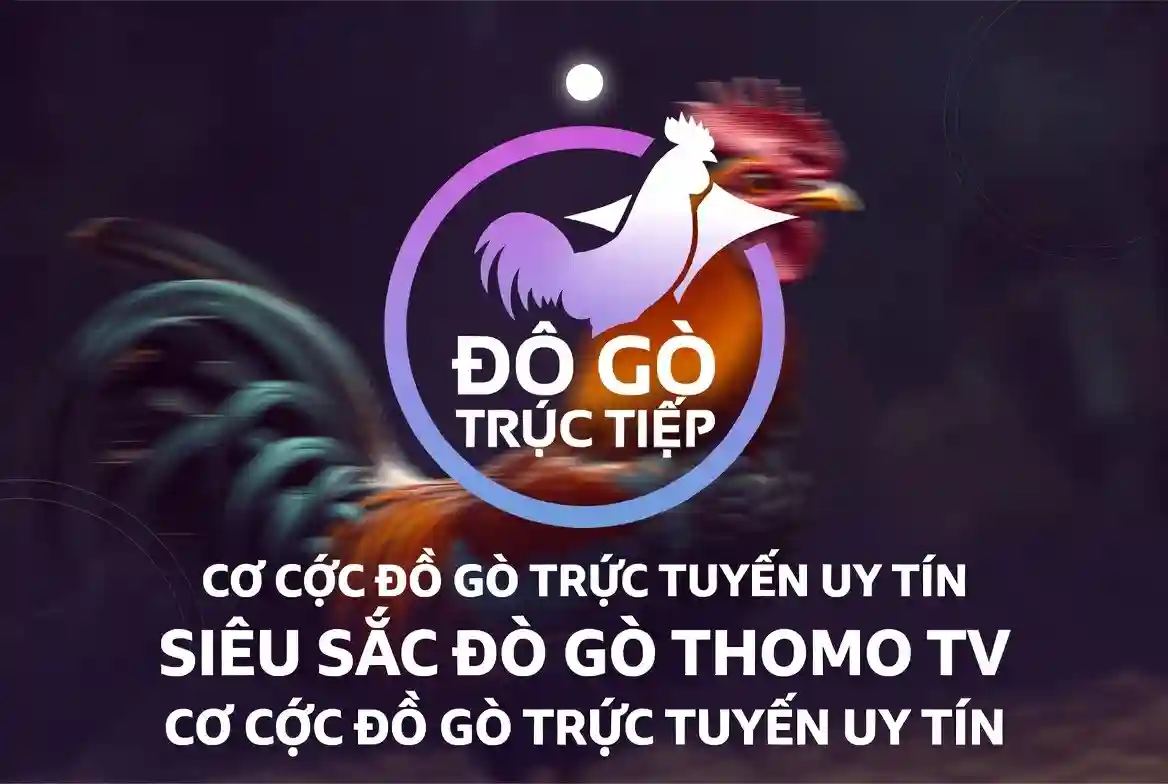 Đá gà trực tiếp thomo
