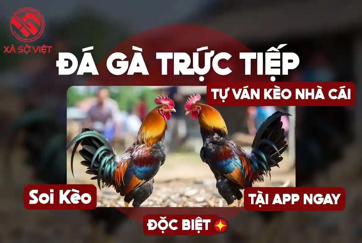 Uy tín và bảo mật kênh C2