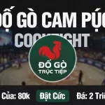 Khám Phá Thế Giới Đá Gà Thomo: Trực Tiếp và Hấp Dẫn